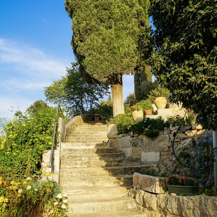 Family terraces and cafés for calm evenings in London